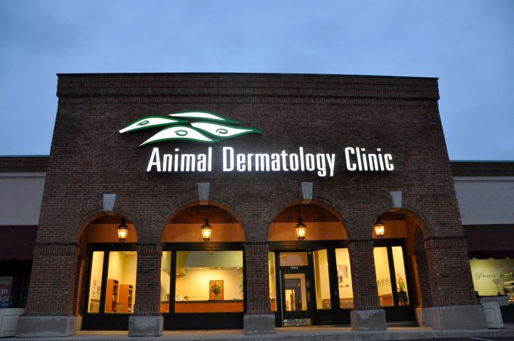 Animal Dermatology Clinics - press