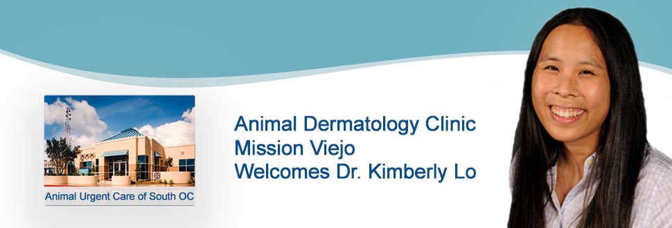 Animal Dermatology Clinic at Animal Urgent Care of So. OC