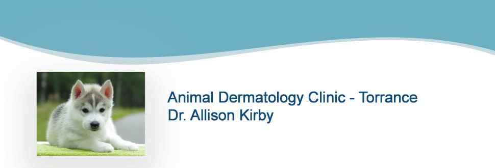 Animal Dermatology Clinic - Torrance